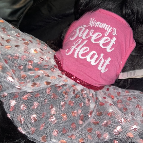 Wagatude Size Medium Mommy’s Sweetheart Dress! Tulle bottom with 🩷s! Valentine - Picture 7 of 8